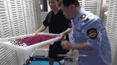 紧急减肥药,紧急减肥产品