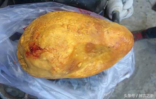 农村这几样东西价值五十万,明年农民家这四样东西很值钱