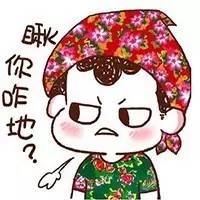 东北话的魅力完全版,东北话的魅力到底有多强