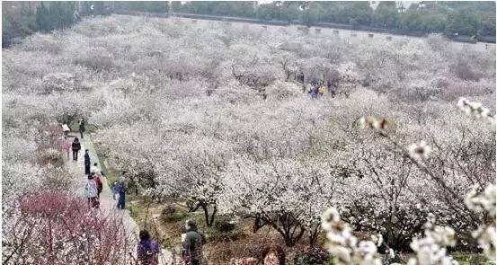 老公/男票要去这里拈花惹草，你居然不阻止还说好？！