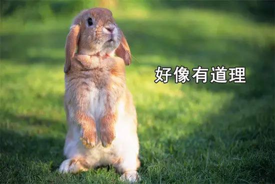 刷三观｜知乎神评·看完全个人都舒服了