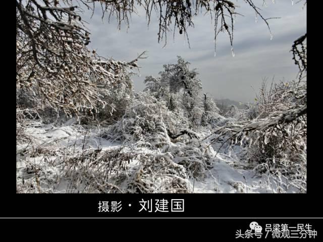 岚县野鸡山位于哪里,山西吕梁山雪景图片