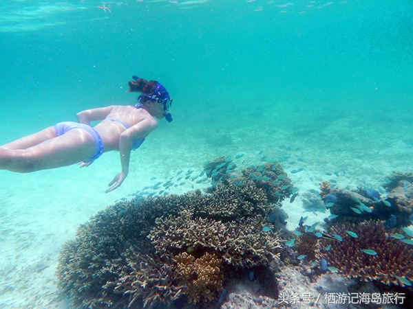 潜水推荐国内,合适潜水的海岛