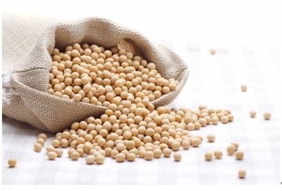 豆类深加工,豆类产品可做哪些简单深加工