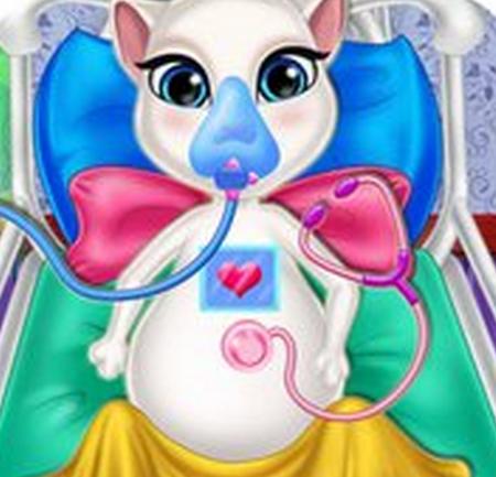 猫咪怀孕了小猫怎么处理,猫怀孕怎么照顾猫咪