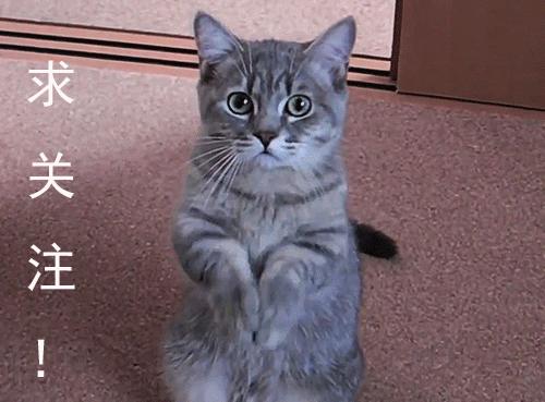 糖果v馆抖音团购,糖果v馆健康路店