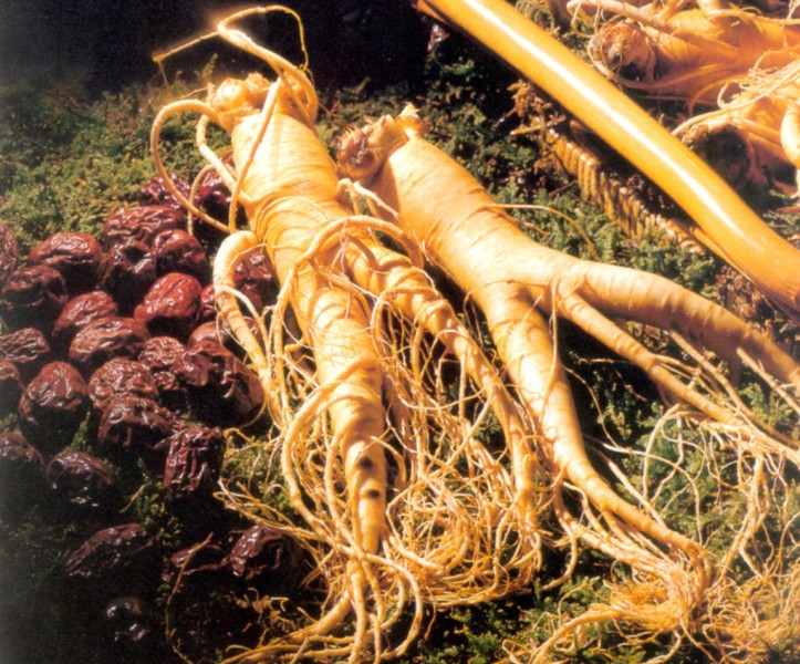 冬至养生汤连中医都在喝,冬至羊肉汤药膳