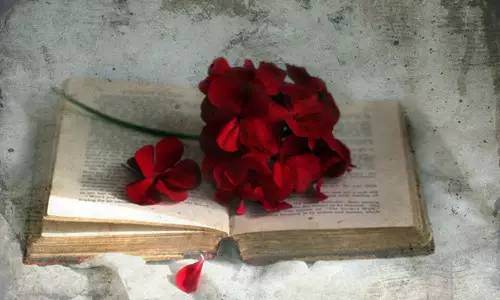 形容词副词比较级和最高级总结,形容词副词比较级和最高级大全