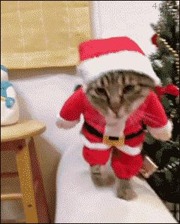 帅一脸的圣诞大餐，有木有眼馋到你？