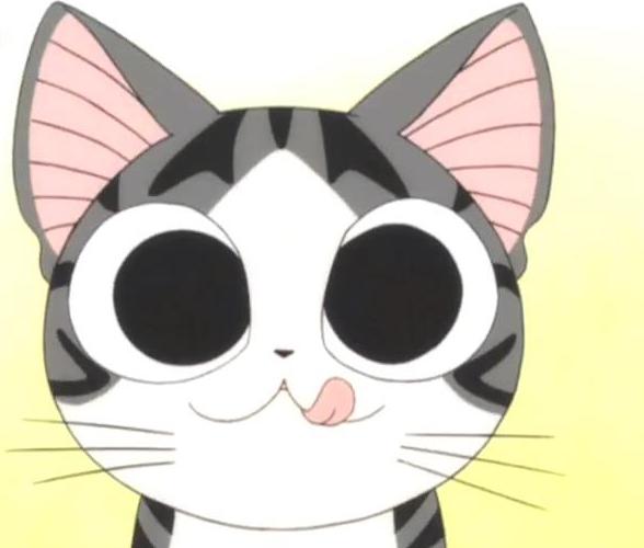 猫咪怀孕了小猫怎么处理,猫怀孕怎么照顾猫咪