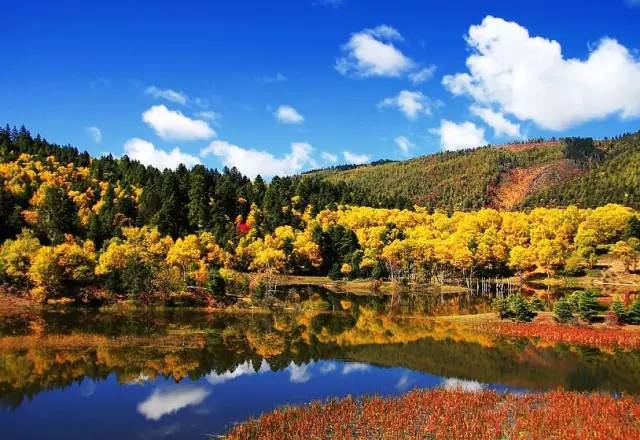 如果你在晚上12点买火车票,宁波火车站春节票现场能够买吗