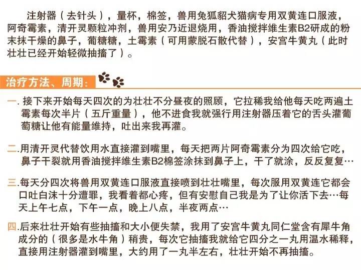 无证的兽医能够看病吗,无证兽医需要承担什么责任