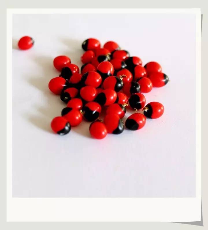 误食相思子解决办法,相思子误食能够查出来嘛