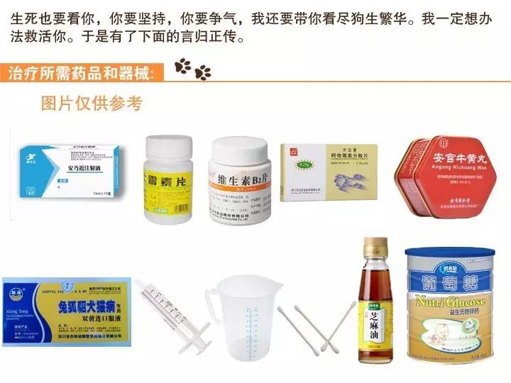 无证的兽医能够看病吗,无证兽医需要承担什么责任