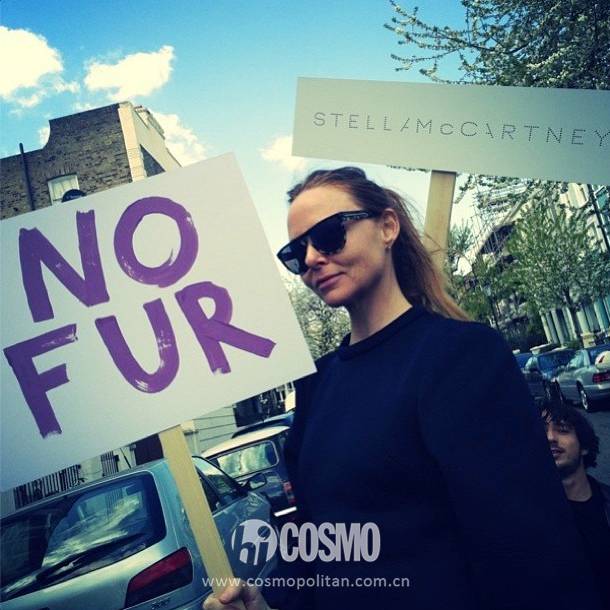 比雪地靴还好的鞋,canadagoose哪款是鹅绒