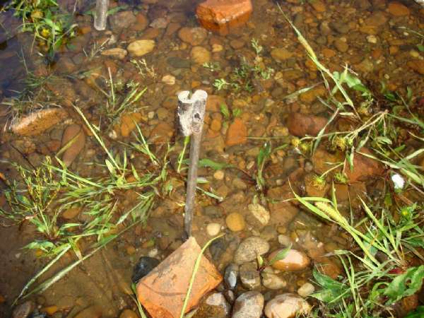 野钓鲫鱼打串钩自制竿架,老钓鱼人传授自制串钩和海竿架