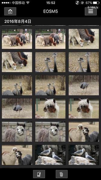 定位专业,佳能eos5dmarkiv