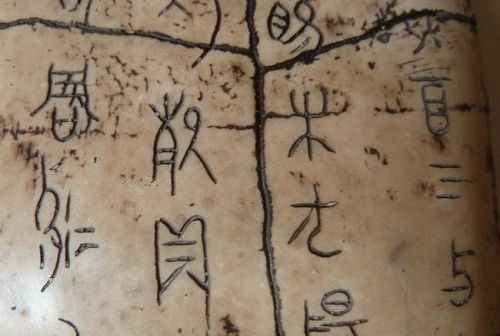 广州本周各类活动精彩荟萃