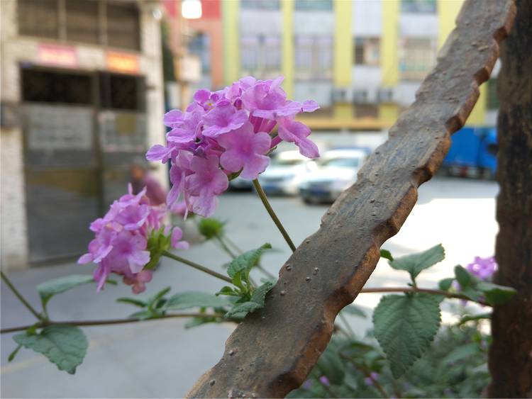 360n4s体验测评,360n4s骁龙版灰色