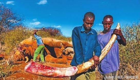 这四种有毒的玉石请远离,四种最害人的玉石