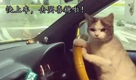 徐福记喜糖阿尔卑斯,大白兔和阿尔卑斯散装