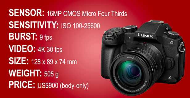 目前最好的全画幅微单相机排名,佳能无反相机与索尼微单怎么选择