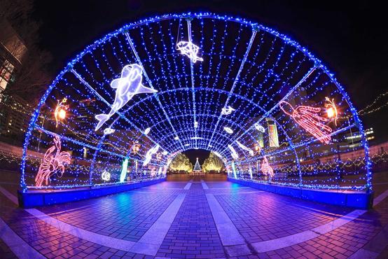 世界上最合适过圣诞节的美丽地方,圣诞节合适去的地方