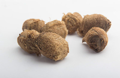 桑树全身上下可入药,桑树哪些部位能够入药及功效