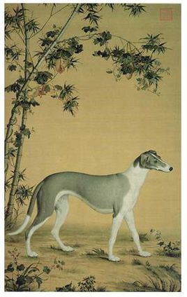 被刷屏的鬼吹灯里长腿狗狗，是濒临灭绝传说中的啸天犬？