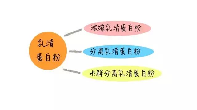 不甜的蛋白粉测评,粉蛋测评推荐