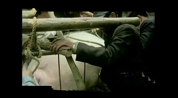 一头猪重200千克几头猪质量是1吨,一头猪重1000克10头这样的猪重多少