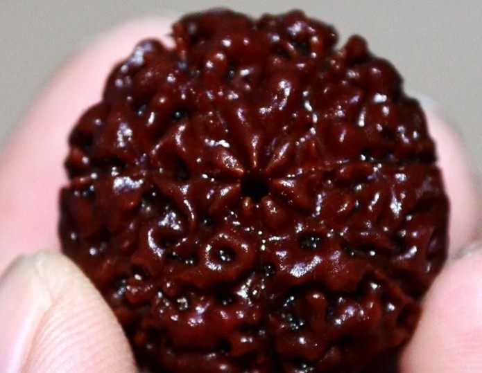 为什么金刚菩提掉价这么多,金刚菩提手串价格一般多少