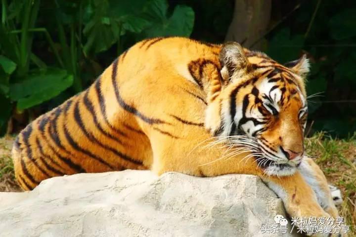 广州亲子游5天自由行不累,合适带宝宝去的亲子游