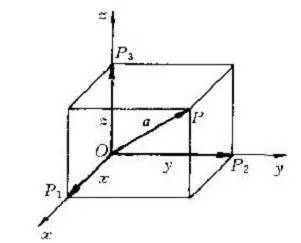 向量的发展史详解,关于向量那些事