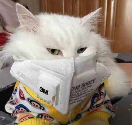 雾霾天气如何生活,雾霾天怎么过