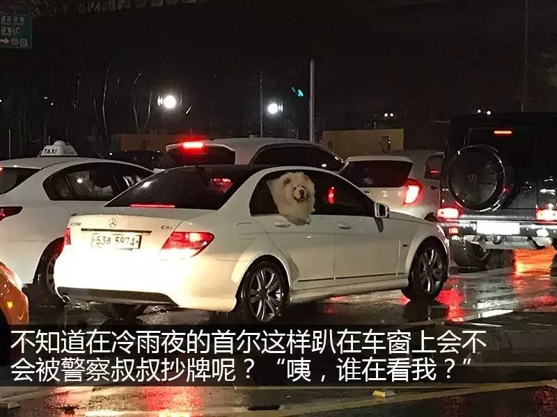 去了趟韩国，为什么我只记住了大街上的车？