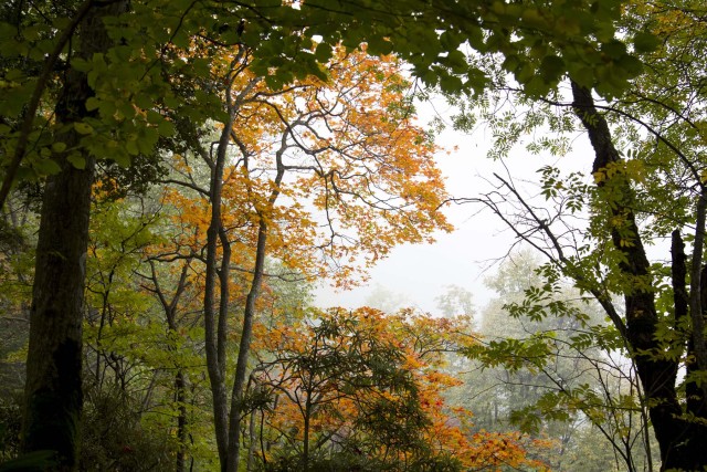 「五龙山水」呼龙台——心愿的倾听者
