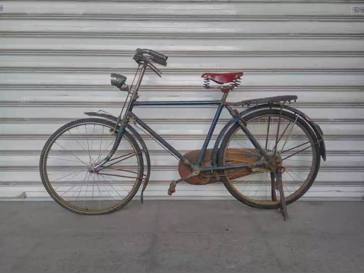 山东猪坚强,猪坚强512