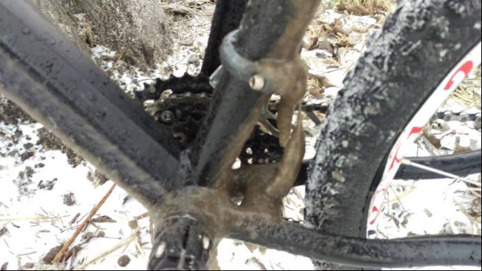 山东猪坚强,猪坚强512