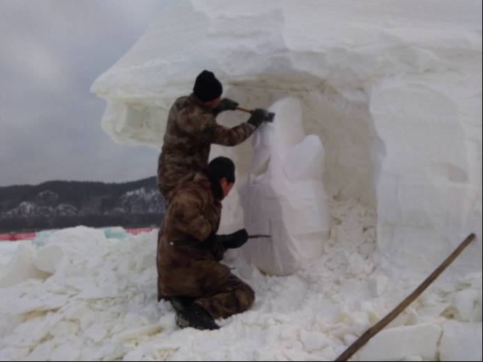 山东猪坚强,猪坚强512