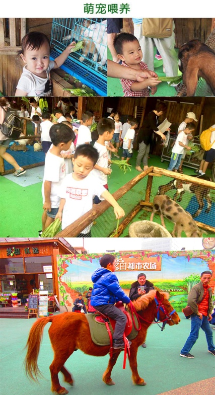 拥抱屋顶，让我们做一场离天空很近的梦