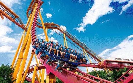 长隆草莓音乐节是两张门票吗,长隆草莓音乐节在哪买票