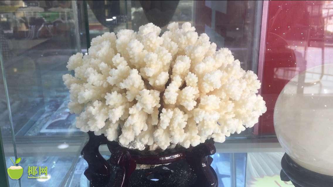 海口清仓处理大甩卖,海口货品清仓甩卖