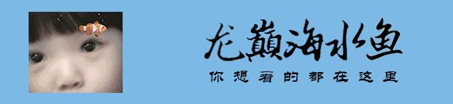 玩的真溜，三千玩出了三万的水平！