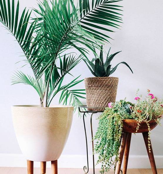 雾霾天气如何生活,雾霾天怎么过