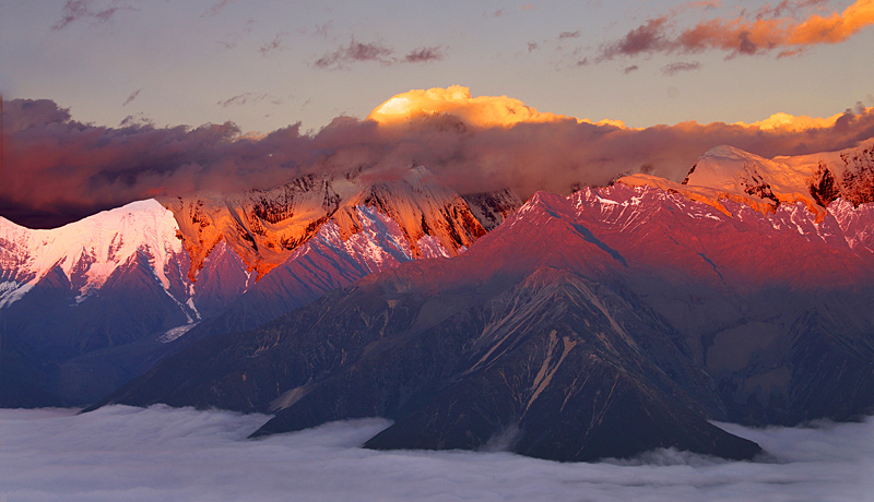 朋友圈现新网红“浮云牧场”四川藏区世界级资源正在起飞