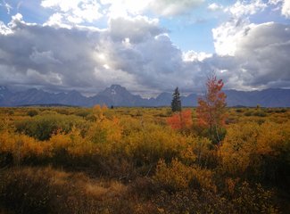 十一20日美西纵横驰骋4200m（黄石-LV-优胜美地-SF-一号公路-SD-LA
