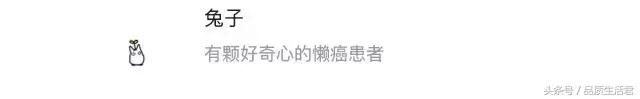 吃货旅游必去的十大地方,中国必去的吃货旅游胜地
