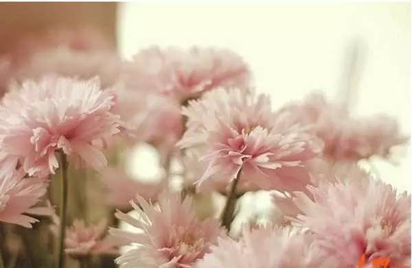 微商早安心语正能量一句话简短,微商朋友圈早安心语正能量图片