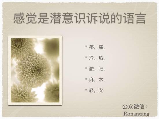 瑜伽经络十二法,唐一杰经络瑜伽